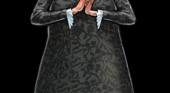 Sherlock Holmes und das Geheimnis der Königin (Artwork)